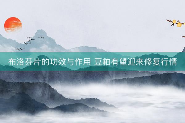 布洛芬片的功效与作用 豆粕有望迎来修复行情