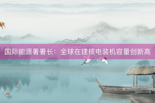 国际能源署署长：全球在建核电装机容量创新高