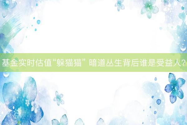 基金实时估值“躲猫猫” 暗道丛生背后谁是受益人？