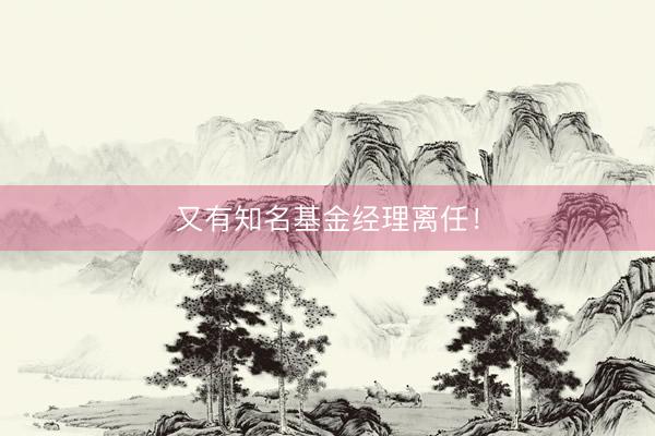 又有知名基金经理离任！