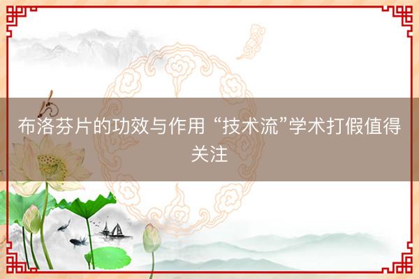 布洛芬片的功效与作用 “技术流”学术打假值得关注