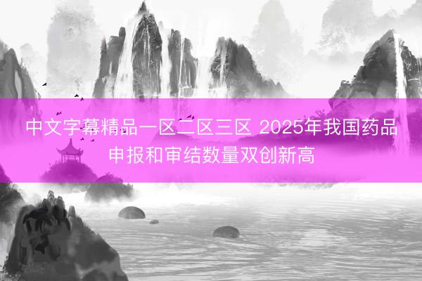 中文字幕精品一区二区三区 2025年我国药品申报和审结数量双创新高
