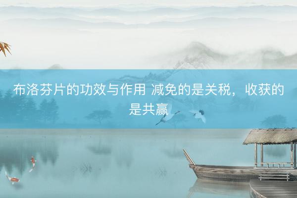布洛芬片的功效与作用 减免的是关税，收获的是共赢