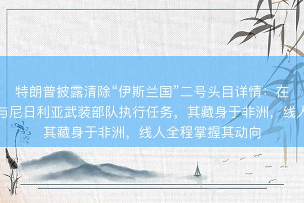 特朗普披露清除“伊斯兰国”二号头目详情：在我指挥下，美军与尼日利亚武装部队执行任务，其藏身于非洲，线人全程掌握其动向
