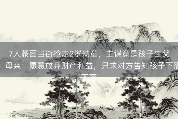 7人蒙面当街抢走2岁幼童，主谋竟是孩子生父！母亲：愿意放弃财产利益，只求对方告知孩子下落