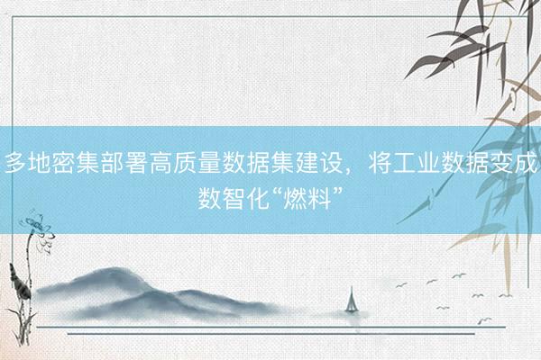多地密集部署高质量数据集建设，将工业数据变成数智化“燃料”