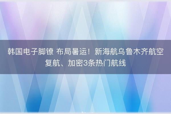 韩国电子脚镣 布局暑运！新海航乌鲁木齐航空复航、加密3条热门航线