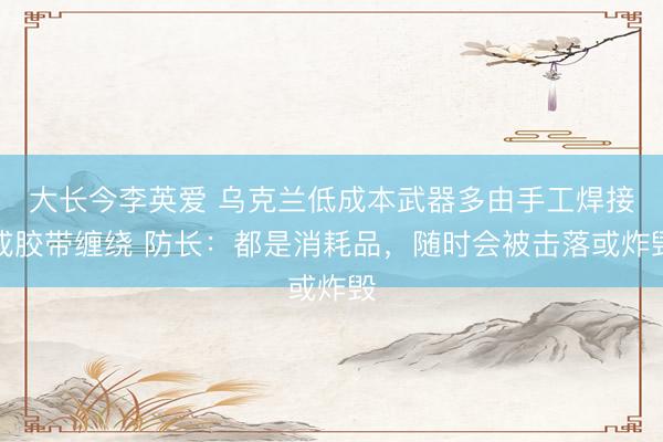 大长今李英爱 乌克兰低成本武器多由手工焊接或胶带缠绕 防长：都是消耗品，随时会被击落或炸毁