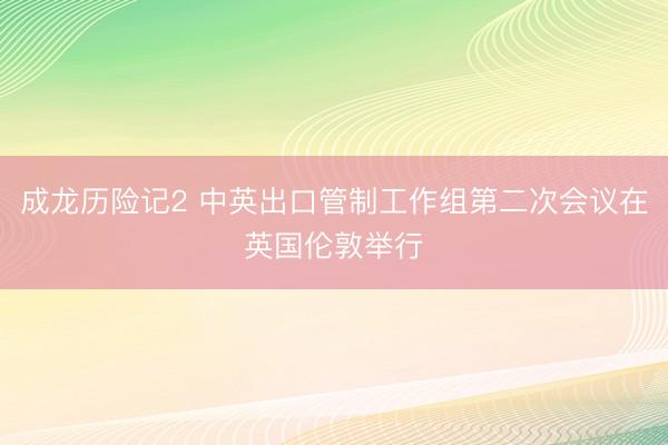 成龙历险记2 中英出口管制工作组第二次会议在英国伦敦举行