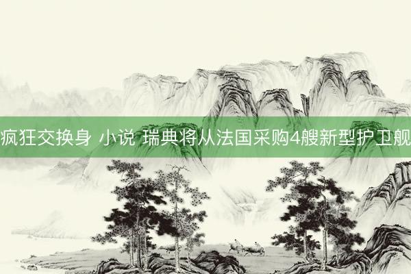 疯狂交换身 小说 瑞典将从法国采购4艘新型护卫舰