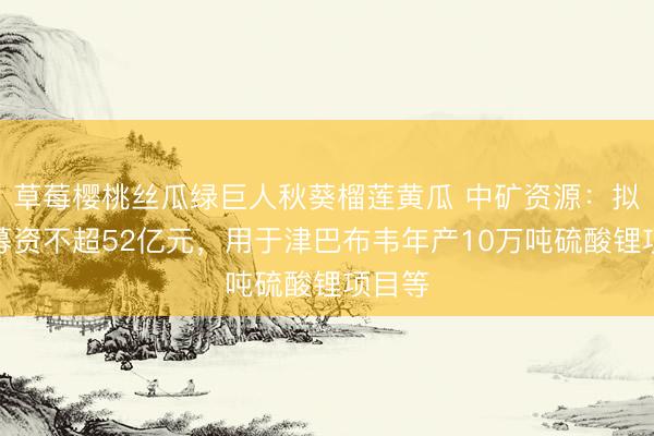 草莓樱桃丝瓜绿巨人秋葵榴莲黄瓜 中矿资源：拟定增募资不超52亿元，用于津巴布韦年产10万吨硫酸锂项目等