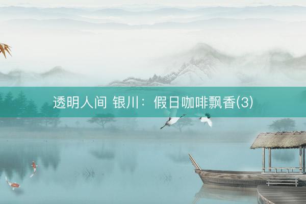 透明人间 银川：假日咖啡飘香(3)