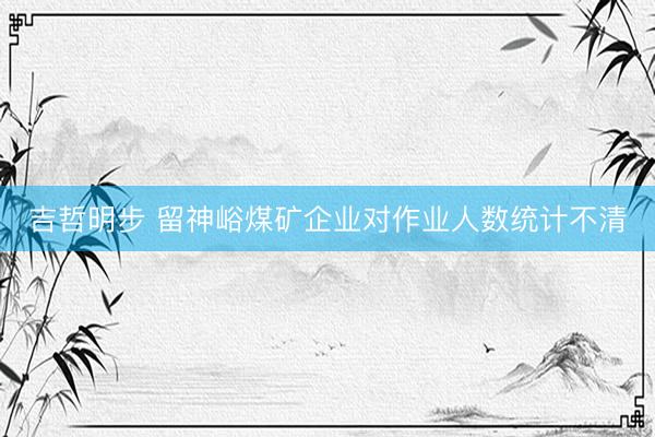 吉哲明步 留神峪煤矿企业对作业人数统计不清