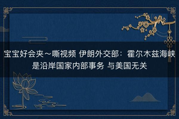 宝宝好会夹～嘶视频 伊朗外交部：霍尔木兹海峡是沿岸国家内部事务 与美国无关