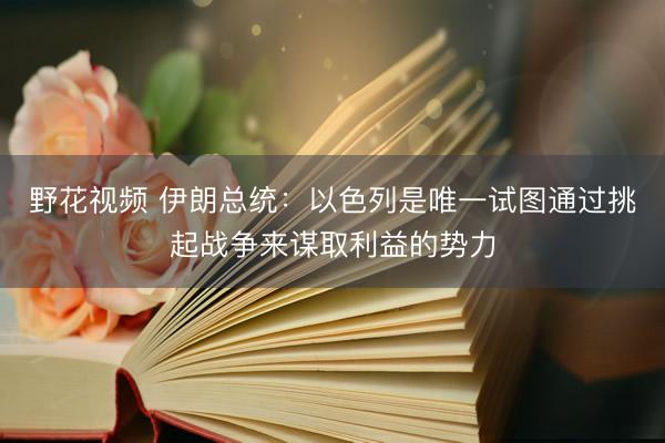野花视频 伊朗总统:以色列是唯一试图通过挑起战争来谋取利益的势力