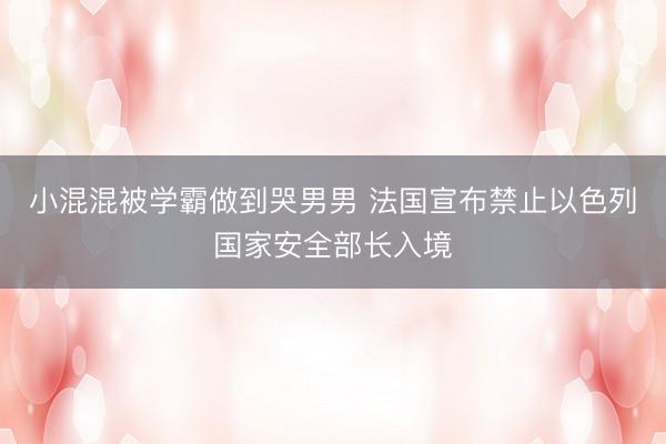 小混混被学霸做到哭男男 法国宣布禁止以色列国家安全部长入境