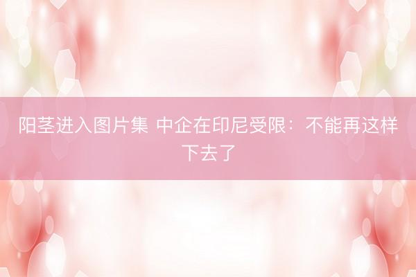阳茎进入图片集 中企在印尼受限：不能再这样下去了