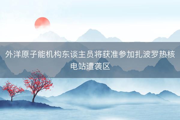 外洋原子能机构东谈主员将获准参加扎波罗热核电站遭袭区
