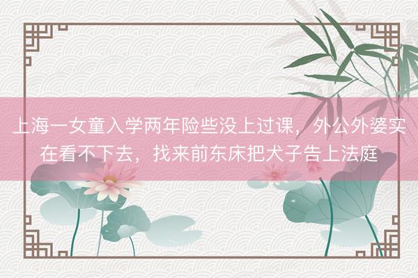 上海一女童入学两年险些没上过课，外公外婆实在看不下去，找来前东床把犬子告上法庭