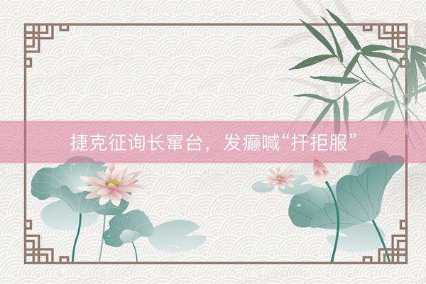捷克征询长窜台，发癫喊“扞拒服”