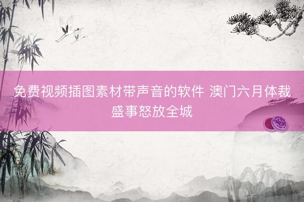 免费视频插图素材带声音的软件 澳门六月体裁盛事怒放全城