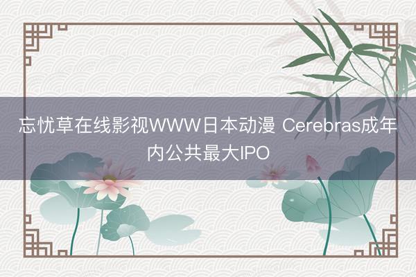 忘忧草在线影视WWW日本动漫 Cerebras成年内公共最大IPO