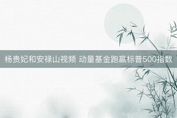 杨贵妃和安禄山视频 动量基金跑赢标普500指数