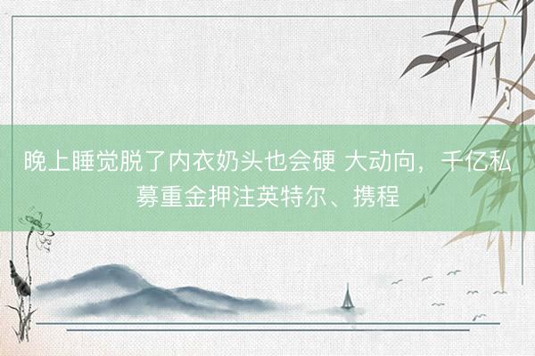 晚上睡觉脱了内衣奶头也会硬 大动向，千亿私募重金押注英特尔、携程