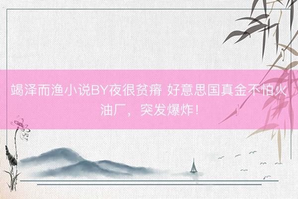 竭泽而渔小说BY夜很贫瘠 好意思国真金不怕火油厂，突发爆炸！