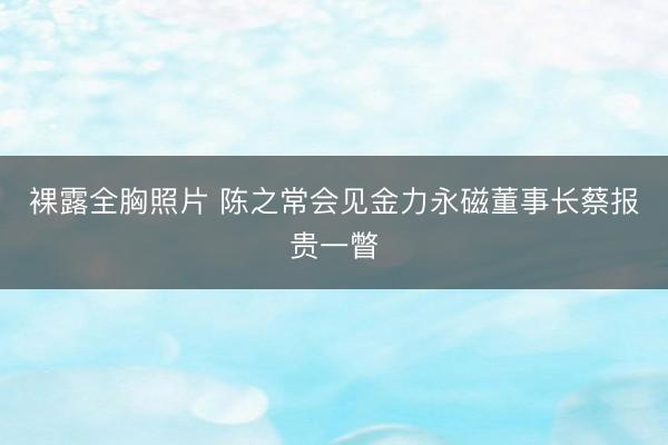 裸露全胸照片 陈之常会见金力永磁董事长蔡报贵一瞥