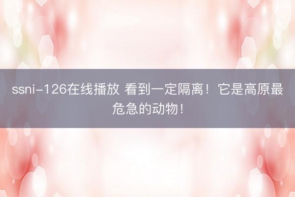 ssni-126在线播放 看到一定隔离！它是高原最危急的动物！