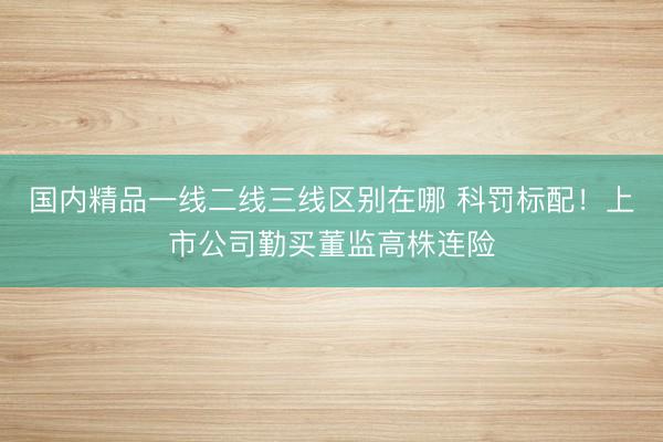 国内精品一线二线三线区别在哪 科罚标配！上市公司勤买董监高株连险