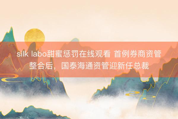 silk labo甜蜜惩罚在线观看 首例券商资管整合后,国泰海通资管迎新任总裁