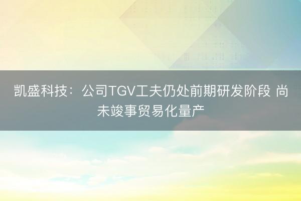 凯盛科技：公司TGV工夫仍处前期研发阶段 尚未竣事贸易化量产