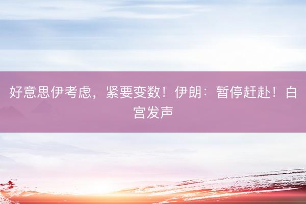 好意思伊考虑，紧要变数！伊朗：暂停赶赴！白宫发声
