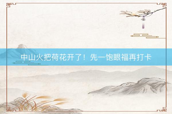 中山火把荷花开了！先一饱眼福再打卡